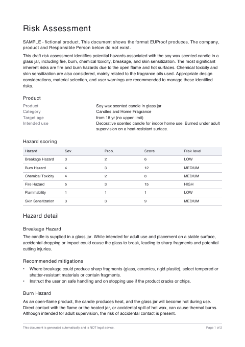 First page of the sample Risk assessment
