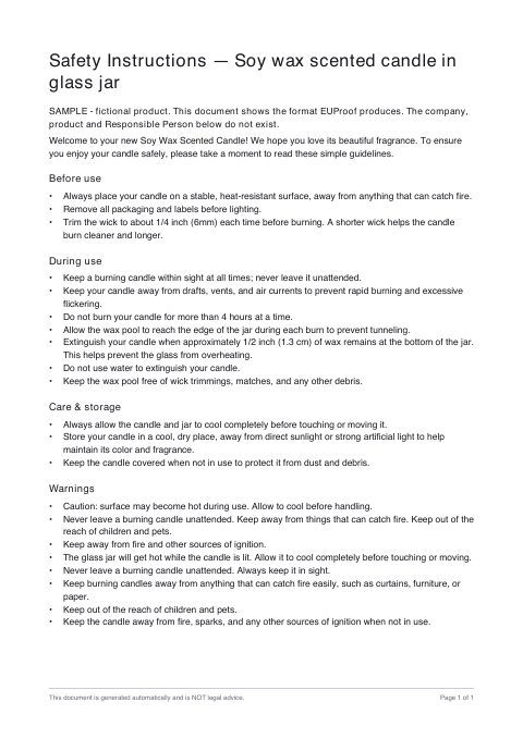 First page of the sample Safety instructions